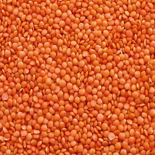 Organic And Fresh Pure Masoor Dal, Delicious Healthy Freshly Harvested
