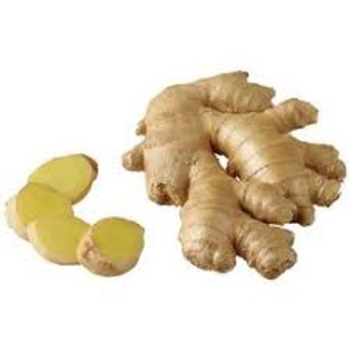 High Quility Antioxidant Organic Season Grown Handpicked Healthy Ginger 