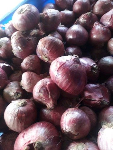 Naturally Harvested Fresh Rich In Antioxidants Strong Aroma Red Onions 