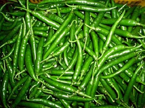 Nutritious And Healthy Enriched With Vitamins Natural Fresh Green Chilli