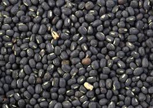 Pure And Healthy Black Organic Unpolished Raw Urad Dal, For Cooking