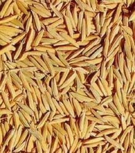 1 Kilogram Packaging Size Moisture 12 Percent Brown Rice Paddy Husk