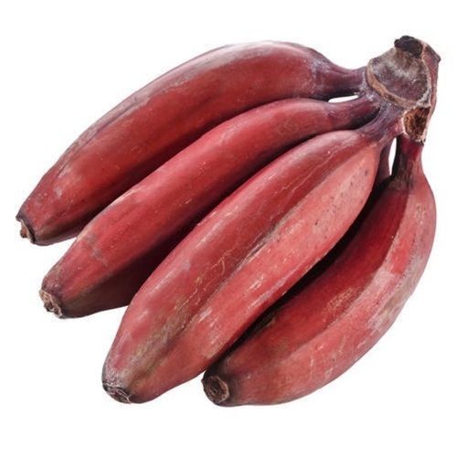 Common 100 Percent Delicious Taste And Natural Red Fresh Red Banana For Good Health