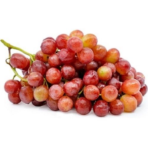 100 Percent Delicious Taste Red Round Shape Fresh Red Grapes, Good For Health 