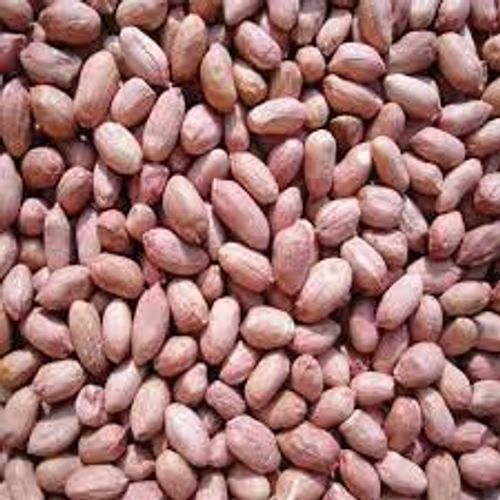 For Sowing Hardy And Easy-To-Grow Natural Raw Groundnut Seeds, Packaging Size: 1kg