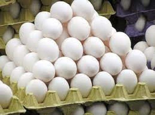 Fresh Delicious Healthy And Highly Nutritious Rich Vitamin White Eggs Egg Weight: 100 Grams (G)