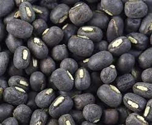 Great For Eggless Dishes Black Round Pure And Organic Raw Urad Dal For Cooking 