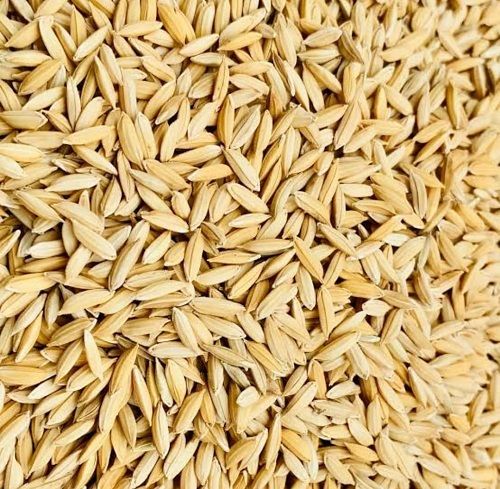 Healthy And Natural High Fiber Hygienically Processed Chemical Free Paddy Seeds