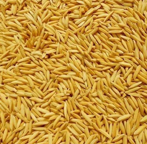 Hygienically Processed Chemical Free High In Fiber Healthy And Natural Paddy Seeds 