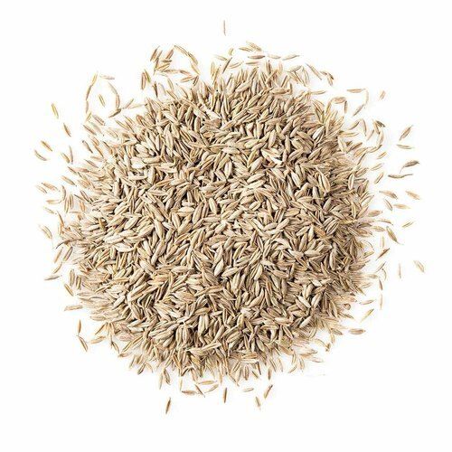 Brown High Quality Natural Organic Bitter Healthy And Fresh Cumin Seed 40 Kg