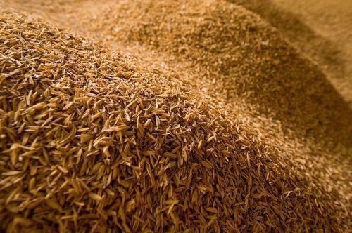 Packaging Size 40Kg Basmati Long Grain Brown Paddy Husk  Ash %: 1%