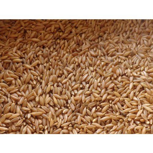 100% Pure Healthy Natural Indian Origin Aromatic Rich Fiber Indian Bamboo Rice Broken (%): 1