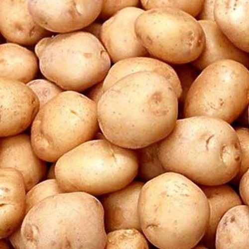 Round 100% Healthy Farm Fresh Naturally Grown Vitamins Rich Good In Taste Brown Potato 