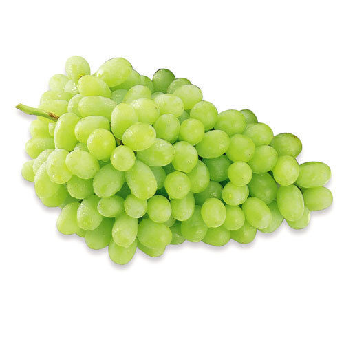 High In Vitamins Minerals Antioxidants Delectable Sweet Tasty Juicy Fruit Grapes 