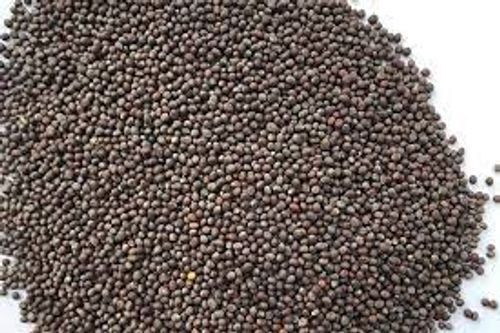 No Artificial Chemical Mustard Seeds