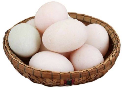 White High Level Of Vitamin And Minerals Enriched Fresh Poultry Egg