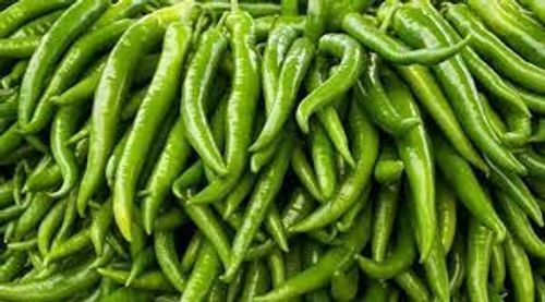  Nutritional Value Rich In Dietary Fiber Spices Flavour Fresh Green Chillies