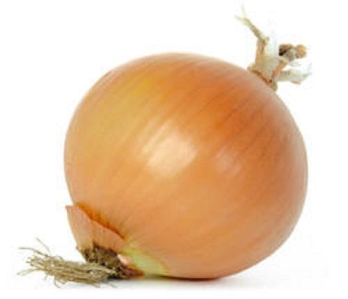 Round Naturally Grown Antioxidants And Vitamins Enriched Healthy Farm Fresh A Grade Brown Onion