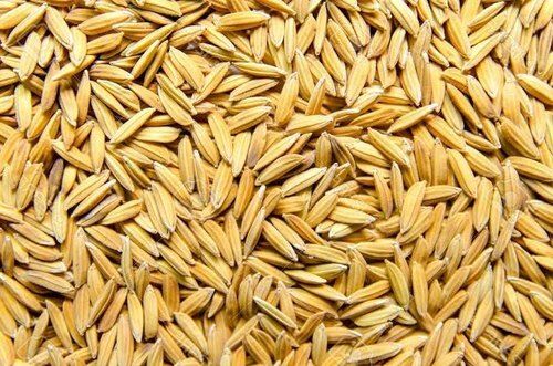 100% Pure Healthy Natural Aromatic And High In Protein Yellow Paddy Rice Broken (%): 1