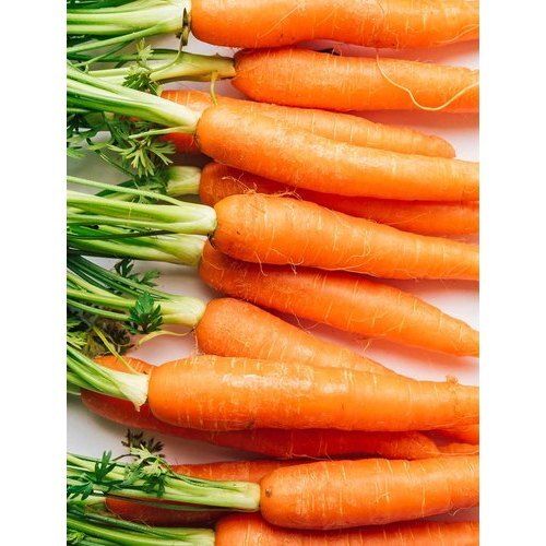 Healthy Farm Fresh Naturally Grown High In Vitamin Fresh Carrot