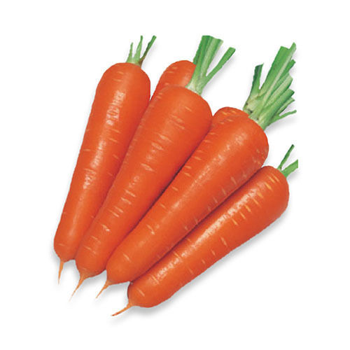 Healthy High In Protein Vitamin C Iron Potassium Nutrition Fresh Natural Carrot
