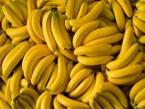 Robusta Banana Fruit - Large Size, Bright Yellow Color | Sweet Flavor, 6 Days Shelf Life, Curved Shape, Ideal for Snacking