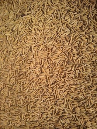  Healthy Fresh Free Of Fissures Natural Uniform Size And Shape Paddy Rice