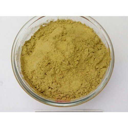 100 Percent Pure Natural Delicious And Spicy Green Chutney Masala Powder