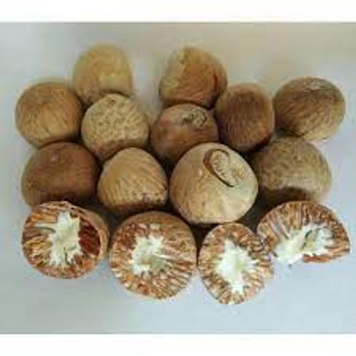 Common Betel Nuts