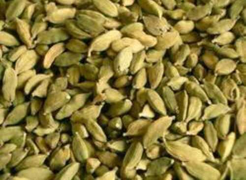 Green Healthy Rich In Protein Vitamins Tasty Delicious Fresh Whole Cardamom