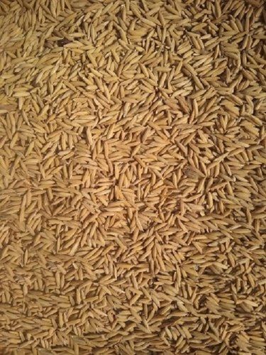  प्राकृतिक ताजा स्वस्थ दरारों से मुक्त एक समान आकार और आकार का धान चावल