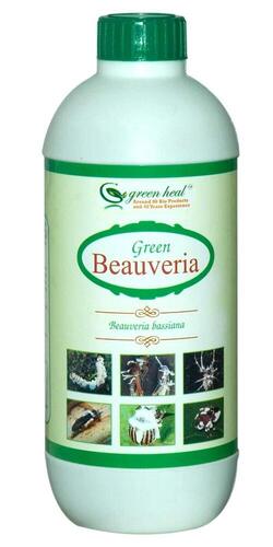 Non Toxic Highly Efficiently Green Beauveria Bio Pesticide Agricultural Fertilizer