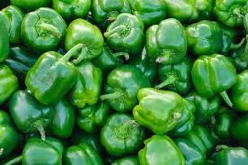 Organic Capsicum (Neha)