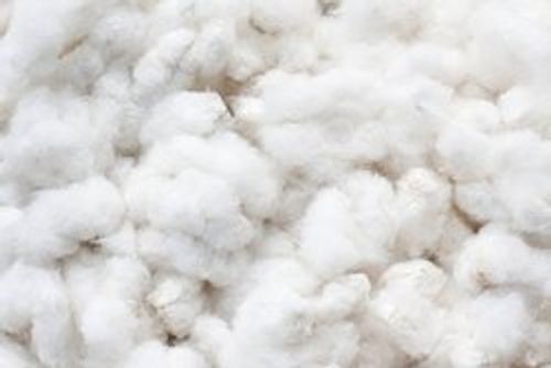 Organic White Raw Cotton