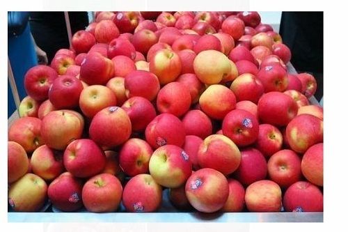 Red Packaging Size 50 Kg Cultivation Type Common Fresh Natural Apple 