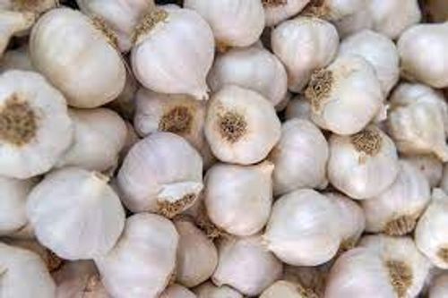 Round Shaped Firm Fresh Raw Processed Dried White Color Garlic , 1 K G