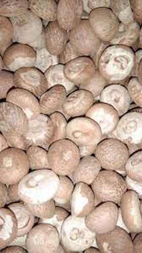 Brown Organic Dried Common Cultivation Healthy Natural Betel Nuts Supari