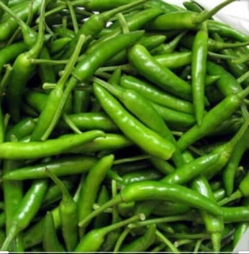 Stick Type Shape Glowing Spices Nutritional Value Green Chillies 