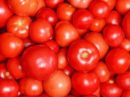 Farm Fresh Naturally Grown Delicious Red Juicy Tomato