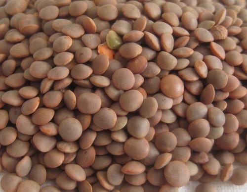 Highly Nutritious No Added Preservatives Gluten Free Unpolished Black Masoor Dal