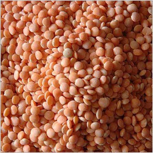 Highly Nutritious No Added Preservatives Gluten Free Unpolished Pink Masoor Dal