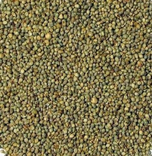 Green Hygienically Processed Chemical Free High In Fiber Fresh Bajra Seeds