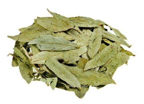No Added Preservative Natural And Healthy Rich Aroma Senna Herbs Leaves