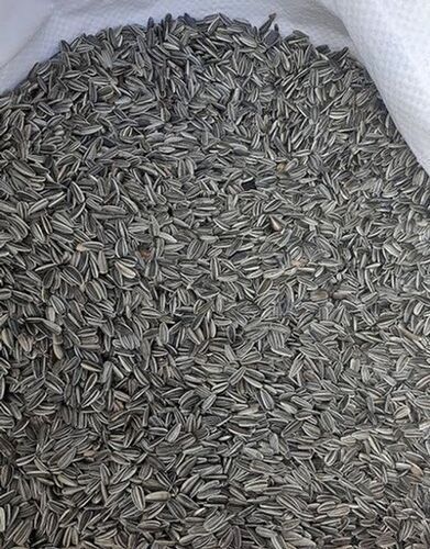 Black Rich Source Of Dietary Fibre And Vitamin E Sunflower Seeds