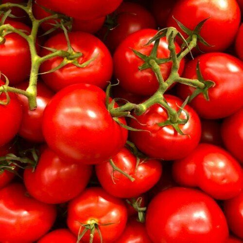 5 Kilogram A Grade Quality Fresh And Juicy Vegetable Tomato