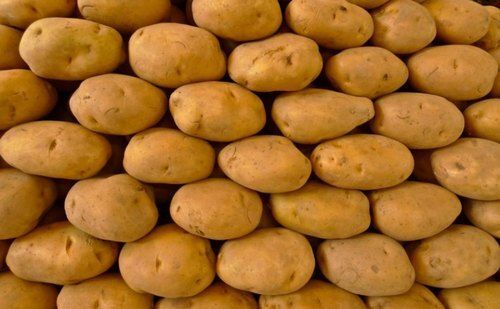 50 Kilogram Packaging Size Brown Medium Size Round Shape Food Grade Fresh Potato