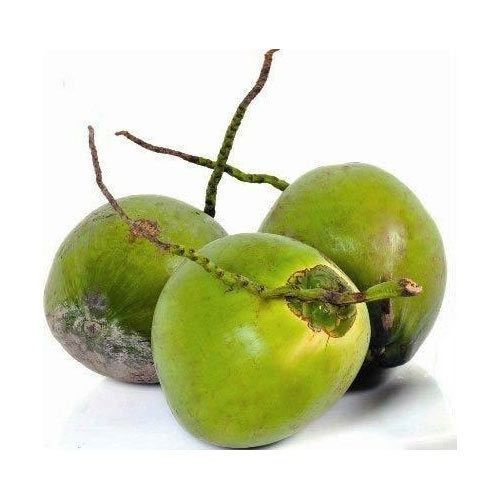 Green Good Quality And Fresh Solid Medium Sulphur Free Husked Coconut, 580 Gram 