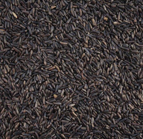 Agriculture Grade Natural Black Niger Seed Shelf Life: 18 Months