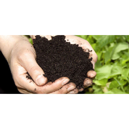 Fresh Dark Black Agricultural Bio Fertilizer 