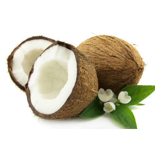 Naturally Grown Healthy Tasty Rich In Vitamin Fresh Coconut